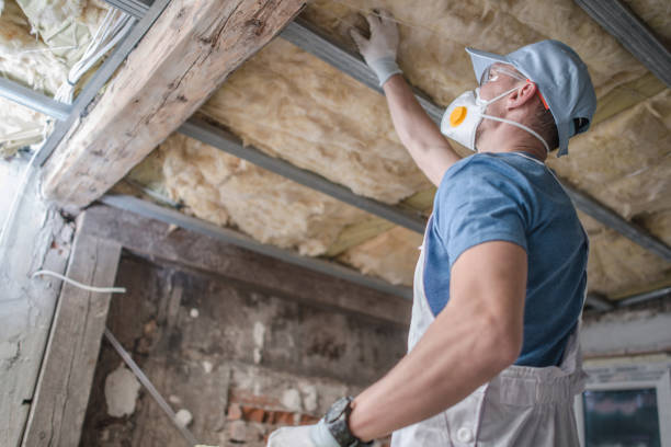 Best Insulation Maintenance and Repair in Lauderhill, FL
