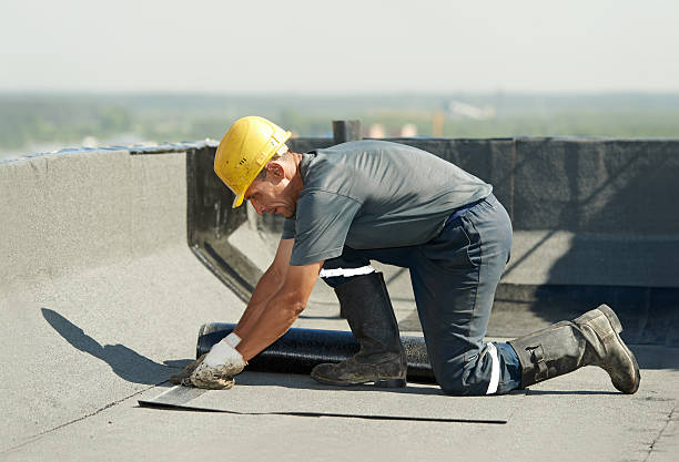 Best Specialized Insulation Services in Lauderhill, FL