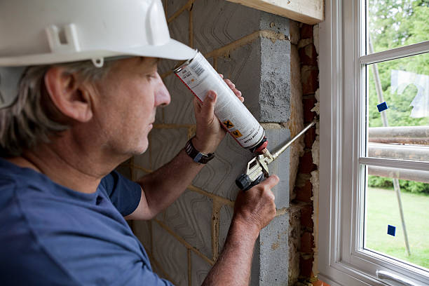 Best Eco-Friendly Insulation in Lauderhill, FL