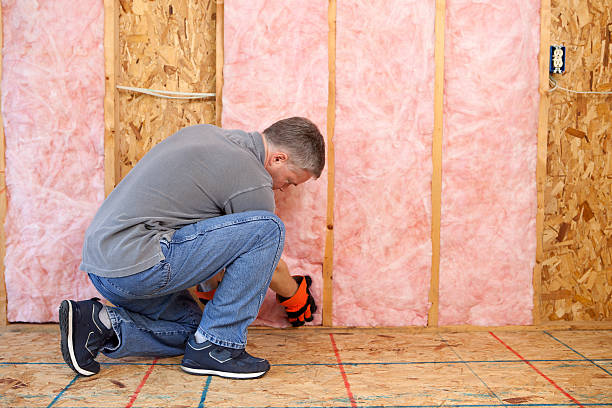 Types of Insulation We Offer in Lauderhill, FL